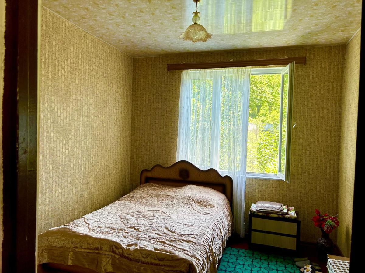 Vaso'S Guesthouse Katskhi 외부 사진
